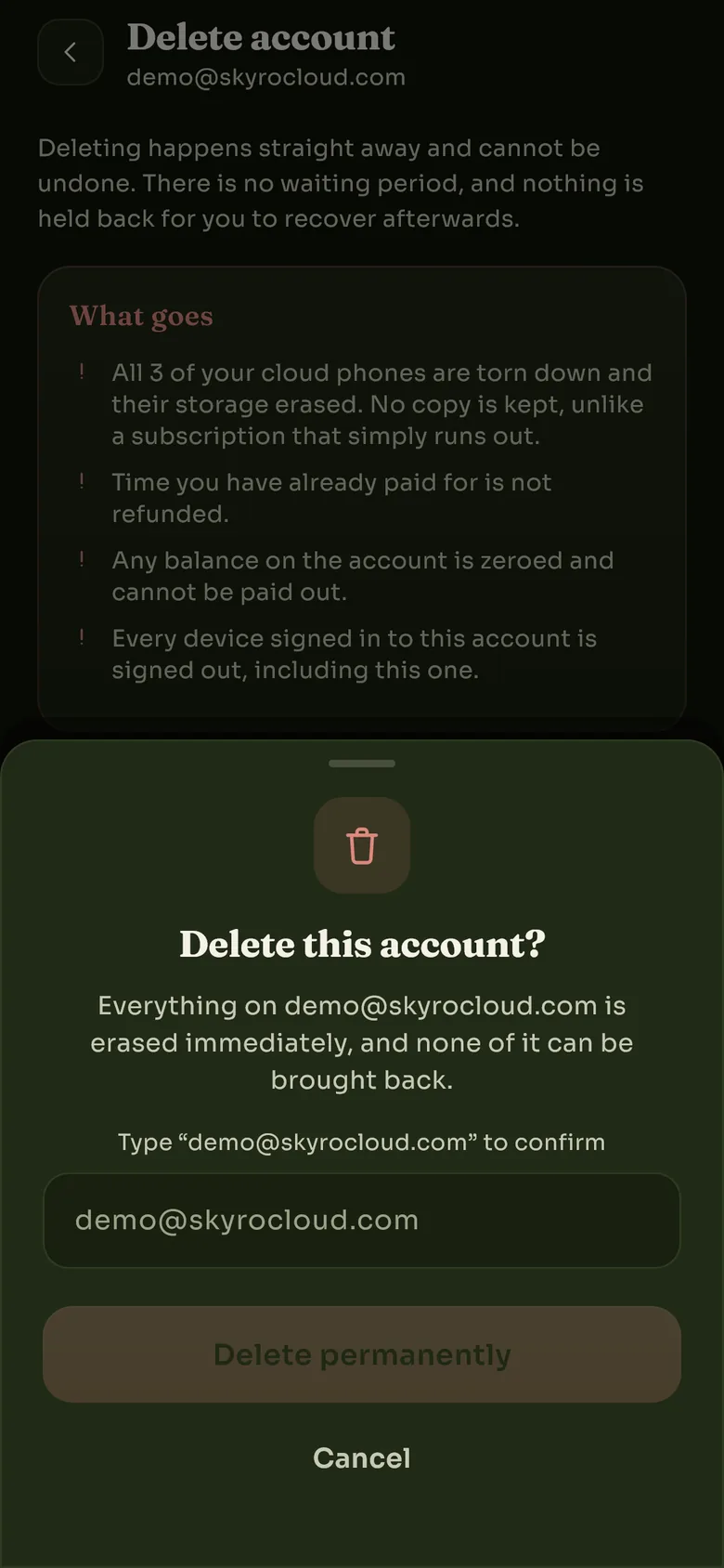 A sheet headed Delete this account, with a field for typing the account's email address to confirm.