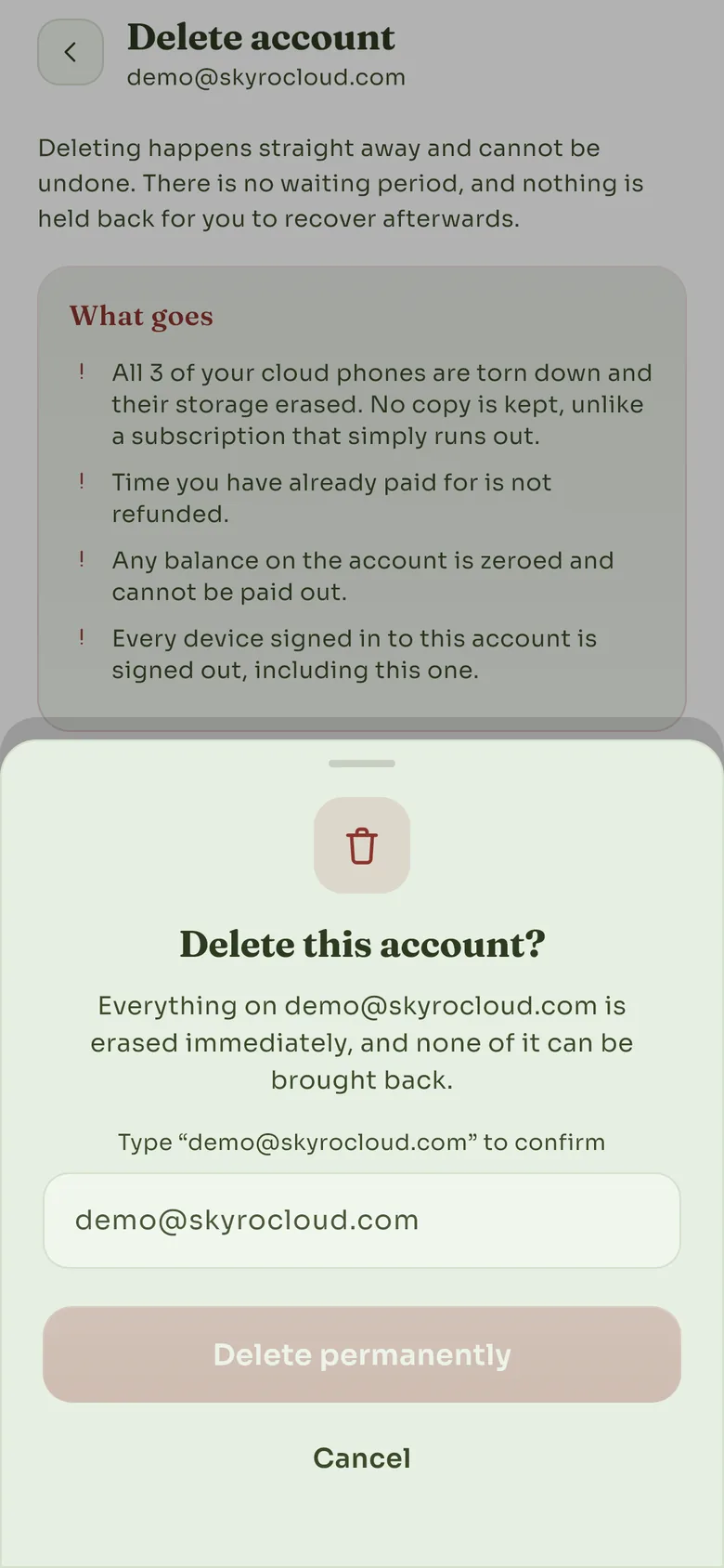 A sheet headed Delete this account, with a field for typing the account's email address to confirm.